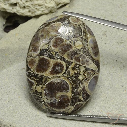 40.61ct 天然 マルチカラー 碧玉, 楕円形, オペーク