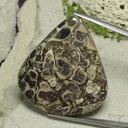 46.19ct 天然 マルチカラー 碧玉, 洋梨の形, オペーク