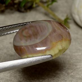 5.51カラットの天然マルチカラー碧玉、オーバルカット、オペーク