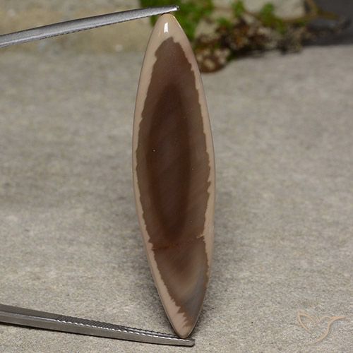 13.34ct 天然 マルチカラー 碧玉, マーキーズ, オペーク
