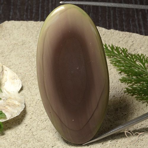 91.61ct 天然 マルチカラー 碧玉, 楕円形, オペーク