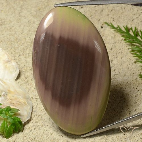 50.81ct 天然 マルチカラー 碧玉, 楕円形, オペーク