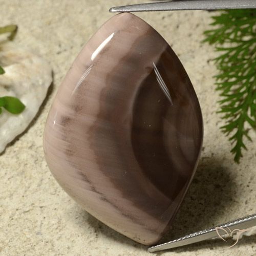 55.75ct 天然 マルチカラー 碧玉, ファンシー, オペーク