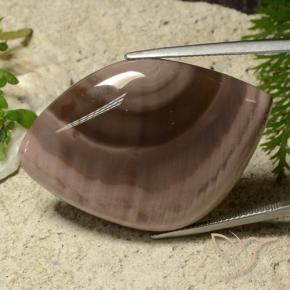 55.75カラットの天然マルチカラー碧玉、ファンシー、オペーク