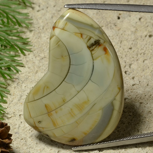 25.50カラットの天然マルチカラー碧玉、ファンシーシェイプ、オペーク