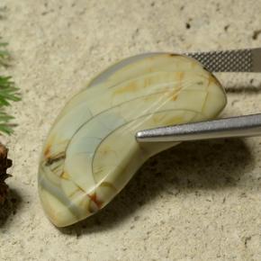 25.50カラットの天然マルチカラー碧玉、ファンシーシェイプ、オペーク