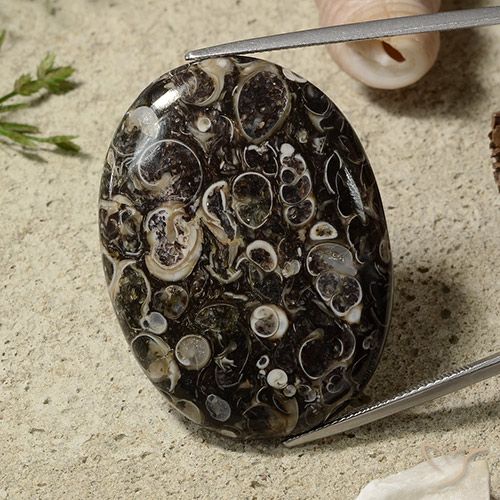51.44ct 天然 マルチカラー 碧玉, 楕円形, オペーク