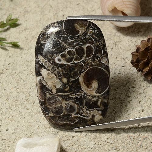 35.69ct 天然 マルチカラー 碧玉, クッション, オペーク