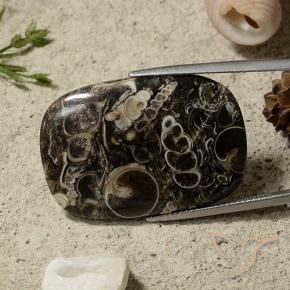 35.69カラットの天然マルチカラー碧玉、クッション、オペーク