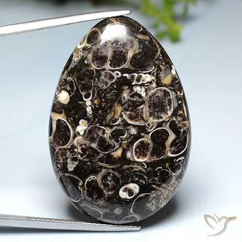 39.93ct 天然 マルチカラー 碧玉, 洋梨の形, オペーク
