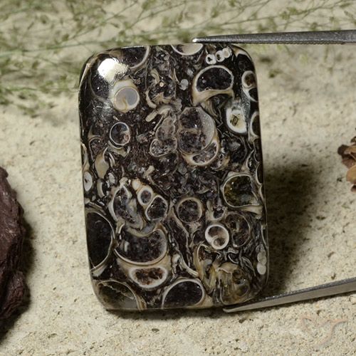 36.39ct 天然 マルチカラー 碧玉, クッション, オペーク