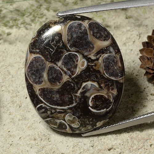 28.37ct 天然 マルチカラー 碧玉, 楕円形, オペーク