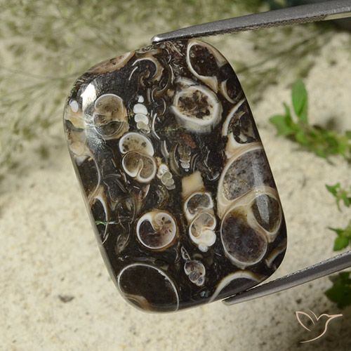 34.23ct 天然 マルチカラー 碧玉, クッション, オペーク