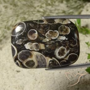 34.23カラットの天然マルチカラー碧玉、クッション、オペーク