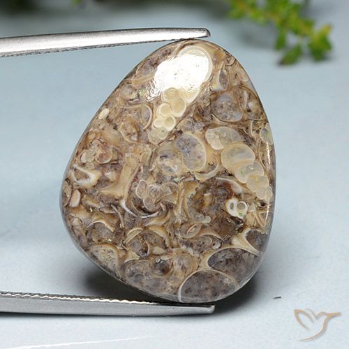 20.52ct 天然 マルチカラー 碧玉, ファンシー, オペーク