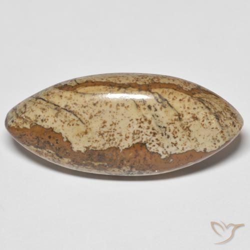 29.48ct 天然 マルチカラー 碧玉, マーキーズ, オペーク