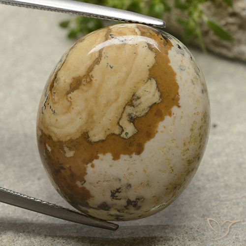 31.27ct 天然 マルチカラー 碧玉, 楕円形, オペーク