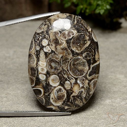 39.98ct 天然 マルチカラー 碧玉, 楕円形, オペーク