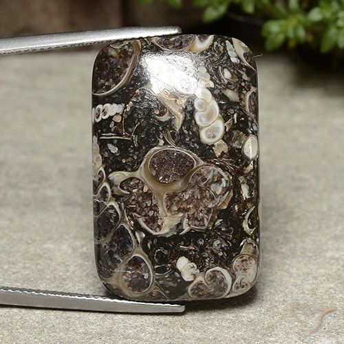 32.91ct 天然 マルチカラー 碧玉, クッション, オペーク