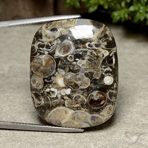 38.76ct 天然 マルチカラー 碧玉, クッション, オペーク