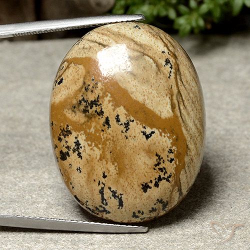 44.97ct 天然 マルチカラー 碧玉, 楕円形, オペーク