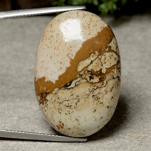 40.14ct 天然 マルチカラー 碧玉, 楕円形, オペーク