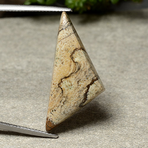 15.95カラットの天然マルチカラージャスパー（31×13.9 mm・トリリアント）