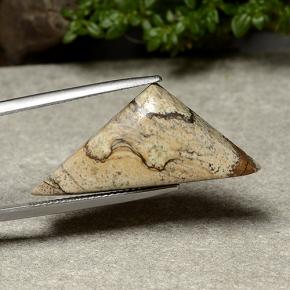15.95カラットの天然マルチカラージャスパー（31×13.9 mm・トリリアント）