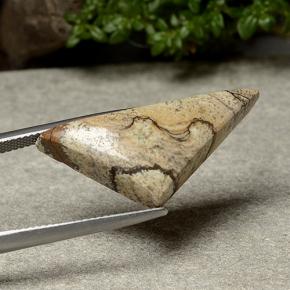15.95カラットの天然マルチカラージャスパー（31×13.9 mm・トリリアント）