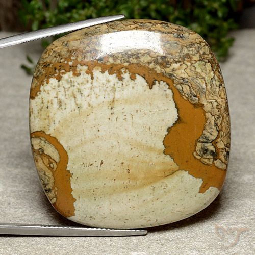 74.76ct 天然 マルチカラー 碧玉, クッション, オペーク