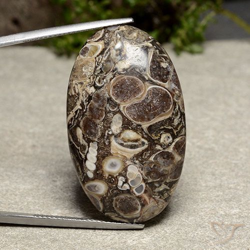39.13ct 天然 マルチカラー 碧玉, 楕円形, オペーク