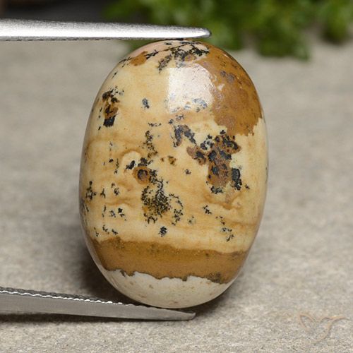 14.50ct 天然 マルチカラー 碧玉, 楕円形, オペーク
