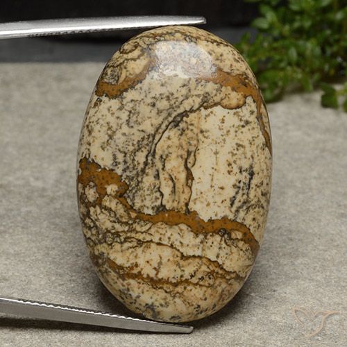 40.46ct 天然 マルチカラー 碧玉, 楕円形, オペーク