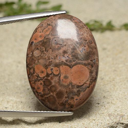 19.34ct 天然 マルチカラー 碧玉, 楕円形, オペーク