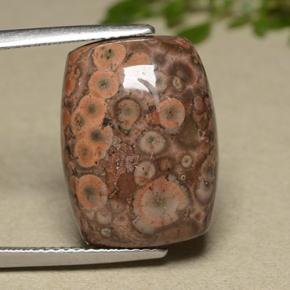 11.81カラットの天然マルチカラージャスパー（18.4×13.5 mm・クッションカット）
