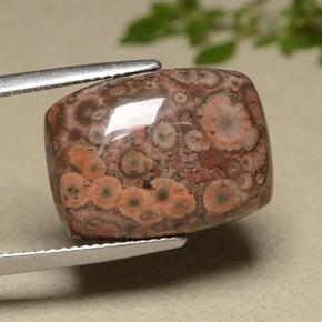 11.81カラットの天然マルチカラージャスパー（18.4×13.5 mm・クッションカット）