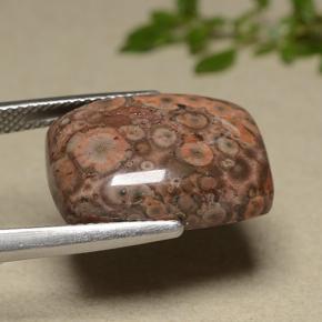 11.81カラットの天然マルチカラージャスパー（18.4×13.5 mm・クッションカット）