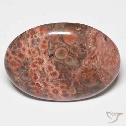 25.58ct 天然 マルチカラー 碧玉, 楕円形, オペーク