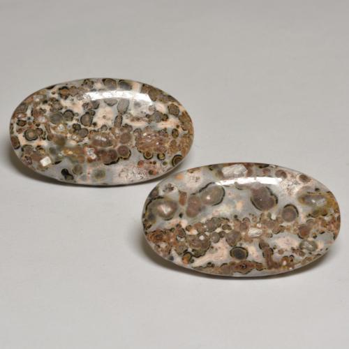 自然派の商品を探す 24.09ct マルチカラー 碧玉 宝石, オーバルカット, インドネシア からGemSelectで. 在庫あり、世界各国へ発送!