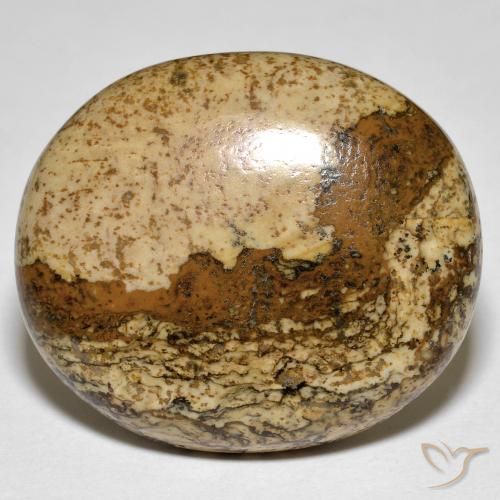 32.88ct 天然 マルチカラー 碧玉, 楕円形, オペーク