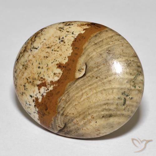 26.64ct 天然 マルチカラー 碧玉, 楕円形, オペーク