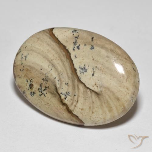 23.20ct 天然 マルチカラー 碧玉, 楕円形, オペーク