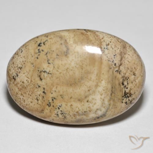 31.50ct 天然 マルチカラー 碧玉, 楕円形, オペーク
