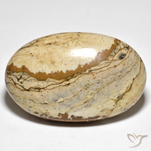 49.20ct 天然 マルチカラー 碧玉, 楕円形, オペーク