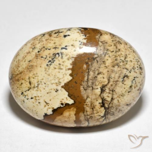 24.19ct 天然 マルチカラー 碧玉, 楕円形, オペーク
