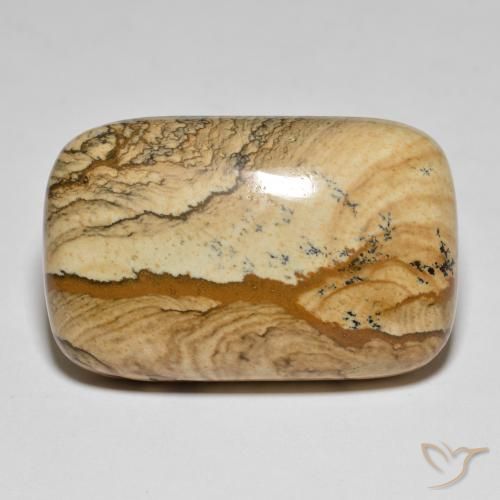 62.57ct 天然 マルチカラー 碧玉, クッション, オペーク