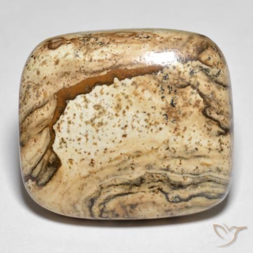 31.61ct 天然 マルチカラー 碧玉, クッション, オペーク