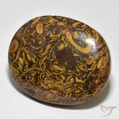 61.03ct 天然 ジンジャーブレッドブラウン 碧玉, 楕円形, オペーク