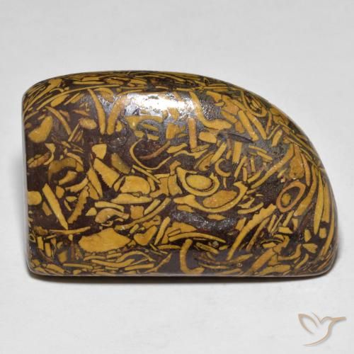 39.25ct 天然 マルチカラー 碧玉, ファンシー, オペーク