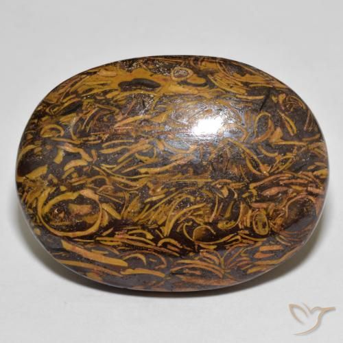 76.80ct 天然 マルチカラー 碧玉, 楕円形, オペーク